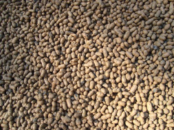 Керамзит, фракция 10-20 мм, мешок 50 л