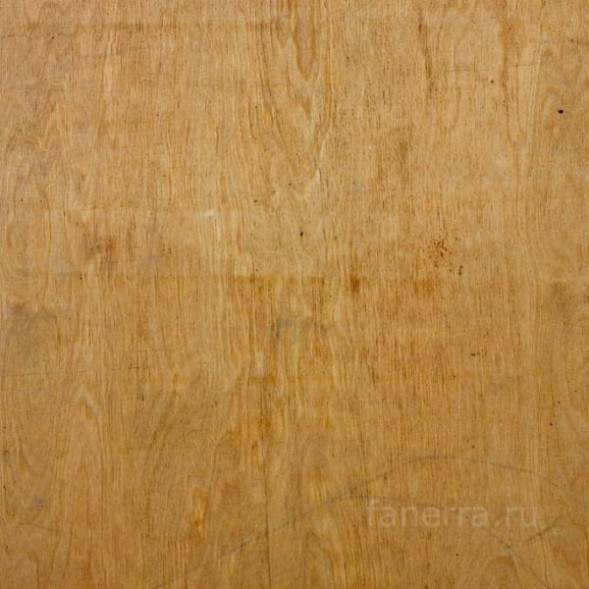 Фанера бакелизированная береза ФБС-1АТ, 1220 х 2440 х 12 мм