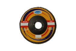 Круг лепестковый торцевой Tsunami, 125х22 мм, Р40/№40