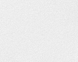 Плита потолочная Armstrong Oasis NG, 600x600x12 мм