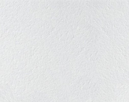 Плита потолочная Armstrong Retail Plain Board, 600x600x12 мм