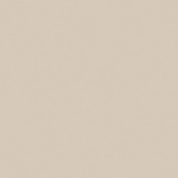 Керамогранит технический Estima Rainbow, цвет Бежевый RW01, 60x60 см